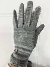 Load image into Gallery viewer, Alisa Beige and Gray Suede Gloves