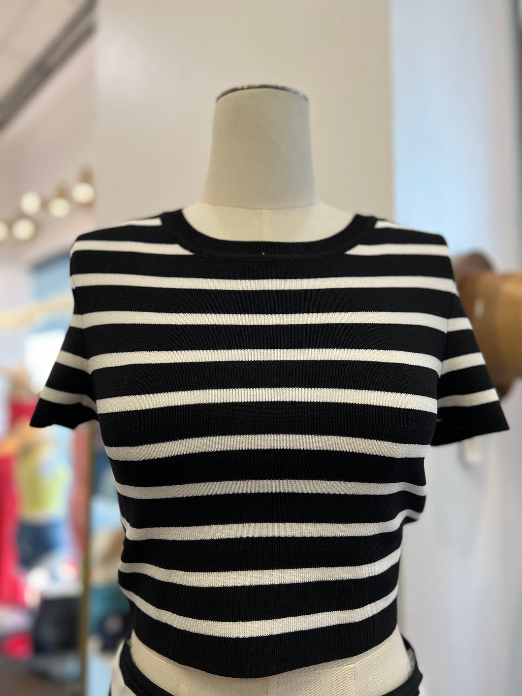 Bianca Black and White Stripes Crop Top