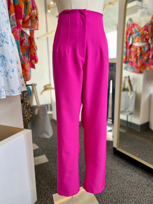 Brissa Hot Pink or Black Curvy Pants