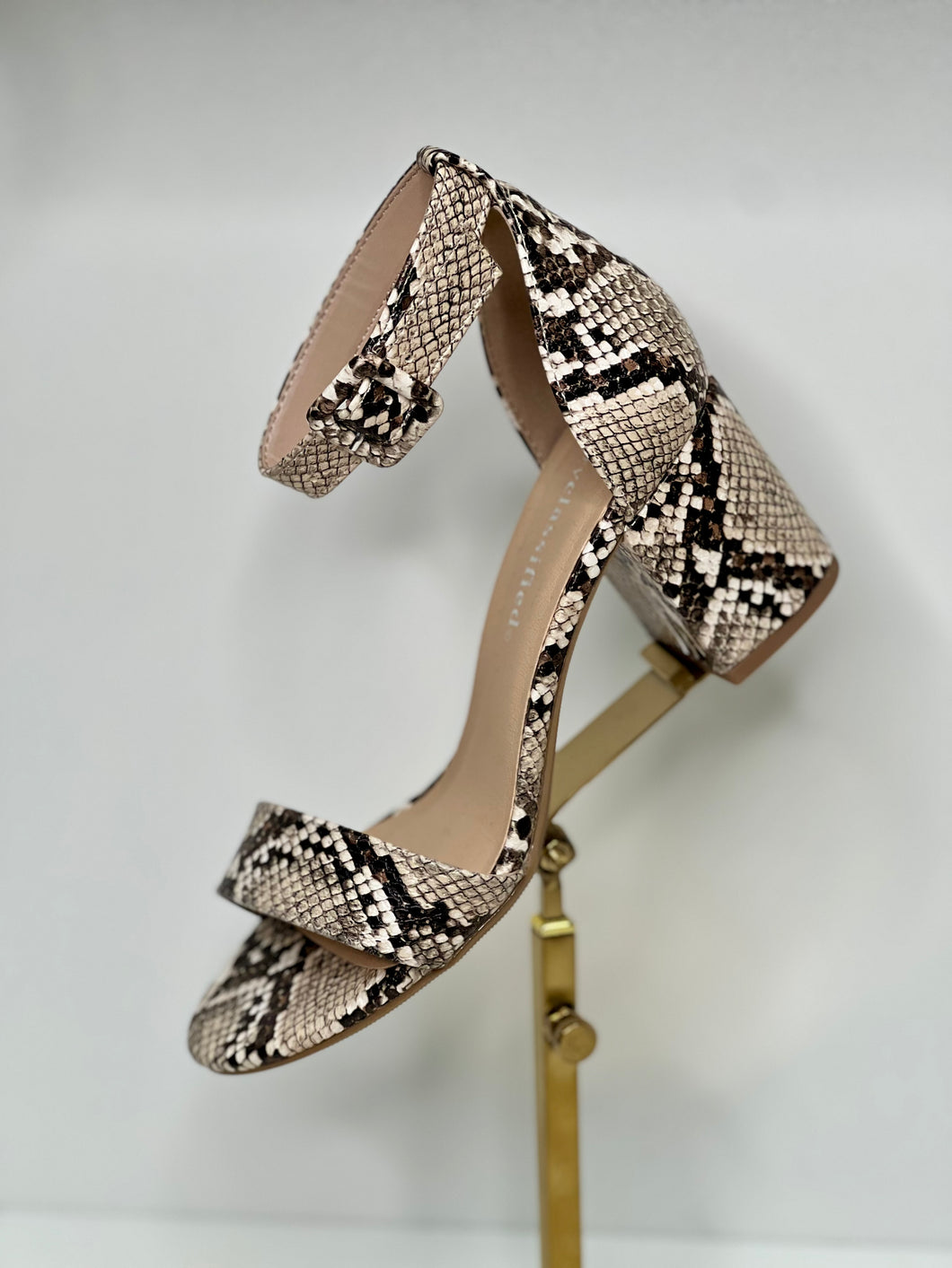 Paulina Sleek Appeal Chunky Heel