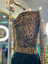 Load image into Gallery viewer, Dayla Animal Print Mesh Long Sleeve Top