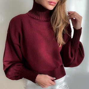 Priscilla Brown Or Red  Puff Sleeves Cinched waist turtleneck.