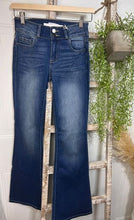 Load image into Gallery viewer, Iliana Light Wash Stretchy Flare Jeans