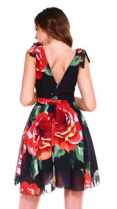 Paulina V Neck Sleeveless Floral Dress