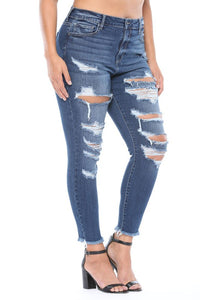 High Rise Distressed Cropped Skinny Jeans