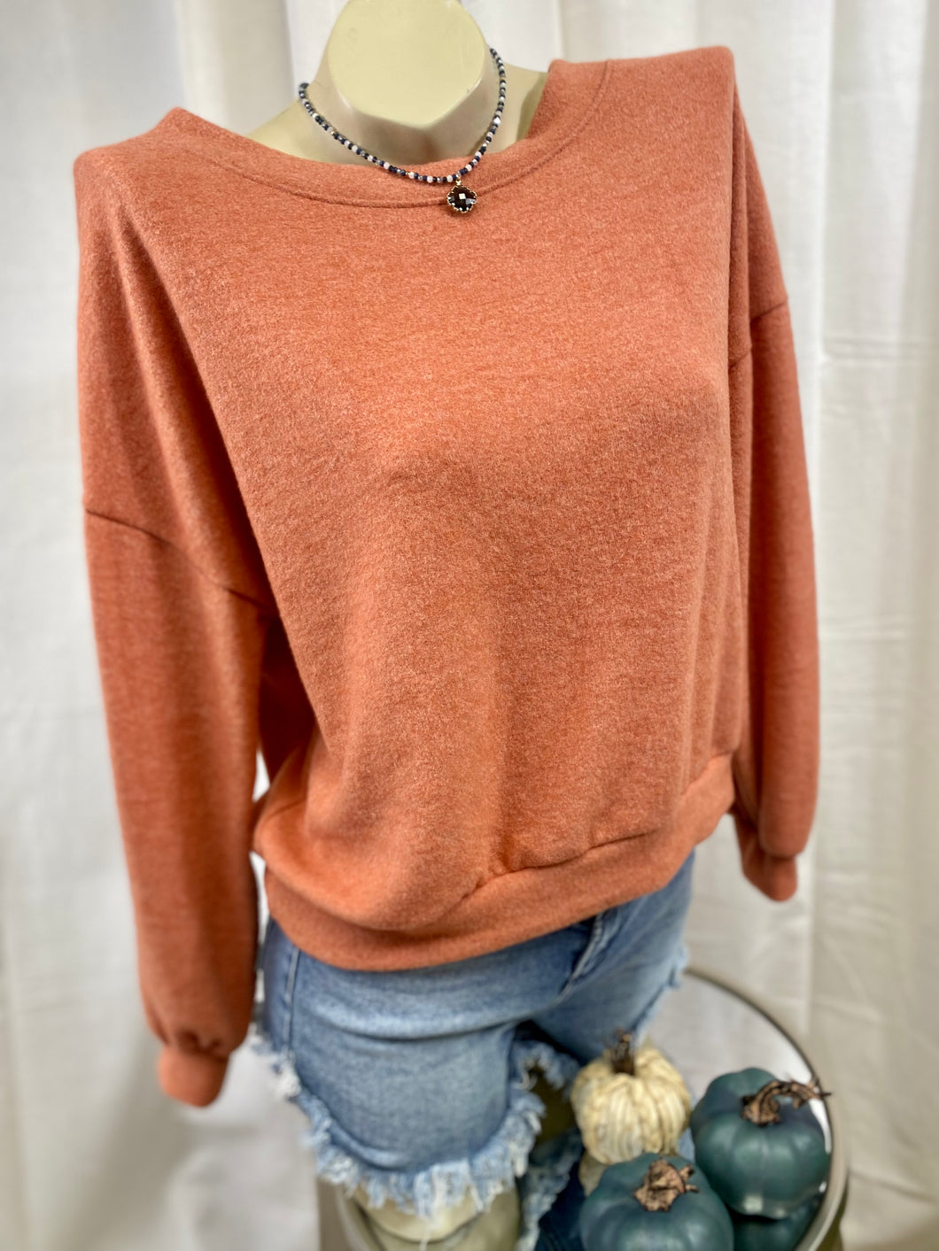 Olive, Terracotta, Ivory Brushed Soft Boatneck Long Sleeve Pullover