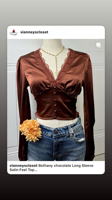 Brunette Brown Satin Long Sleeve Crop Top