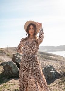 Alice Animal Print Sheer Maxi Dress