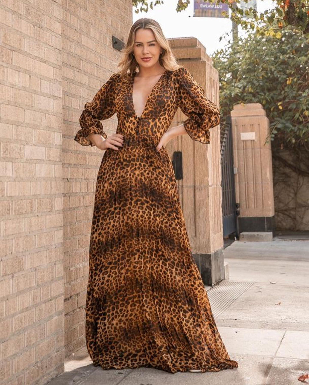 Alinna Animal Print Long Sleeve V Neck Maxi Dress